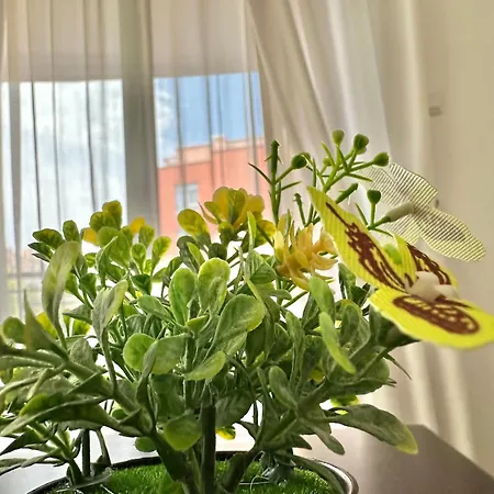 Rainbow 3 - Menada Appartement Sunny Beach