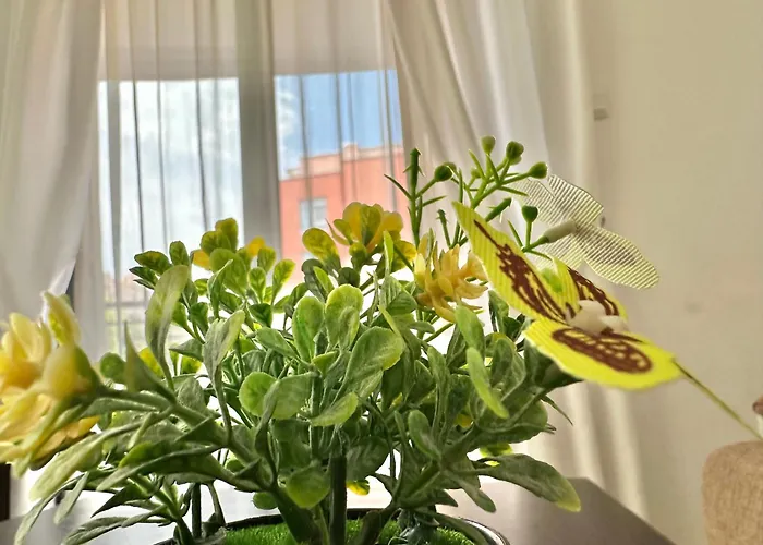 Rainbow 3 - Menada דירה סאני ביץ'